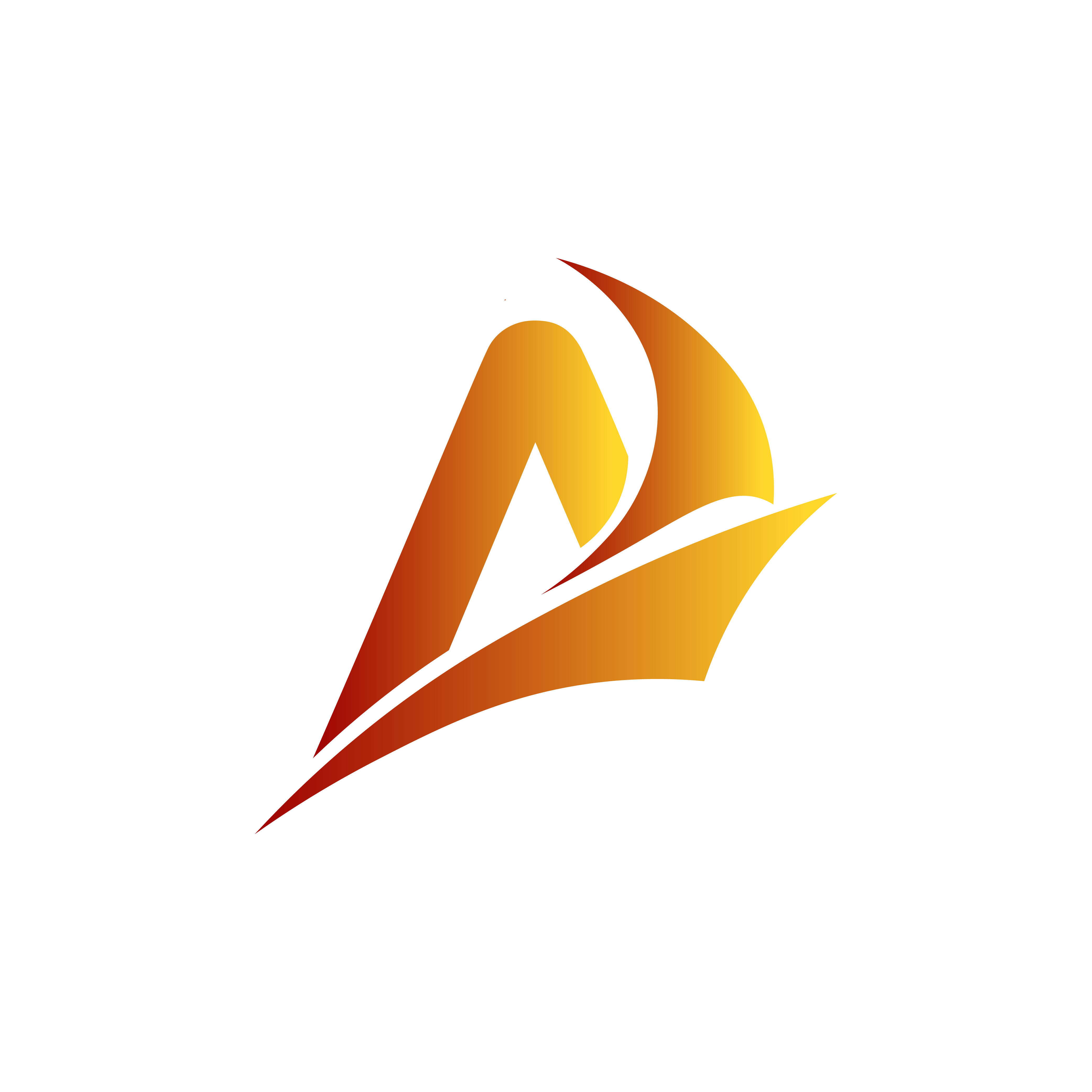 asdsa